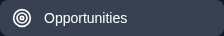 04-erp-proof-only-navigation-smoke-l2-03-open-opportunities-element.png